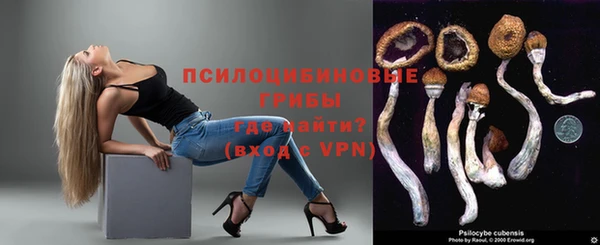 скорость Елизово